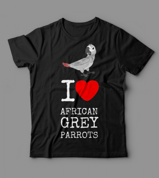 african-grey-parrots-1