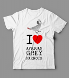 african-grey-parrots-2